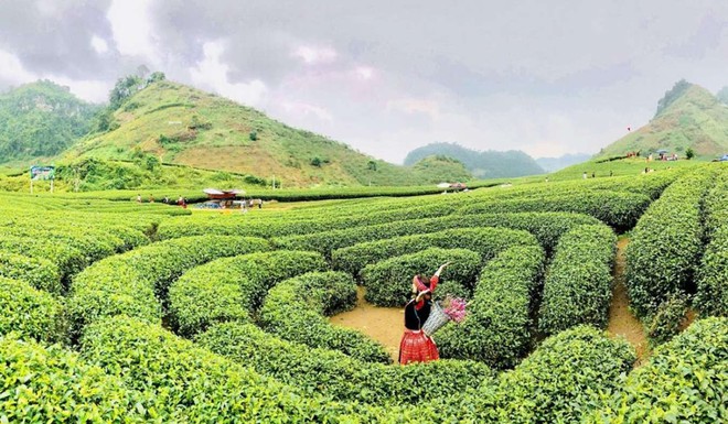 Địa phương Việt Nam từng được vinh danh "hàng đầu thế giới", được ví như viên ngọc xanh, mùa nào cũng đẹp - Ảnh 5.