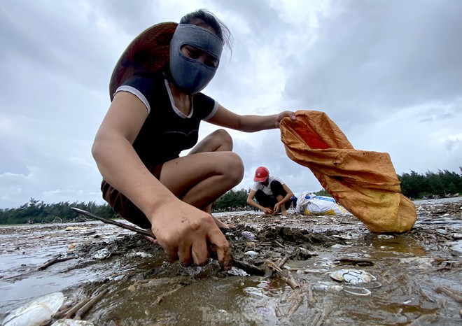 'Lộc biển' dạt trắng bờ, dân ra nhặt từng tải về ăn - Ảnh 6.