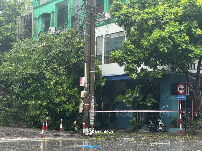 Hải Phòng "oằn mình" chống chịu bão số 3: Gió thổi lật container, bay mái tôn, giật vỡ kính khách sạn- Ảnh 3.