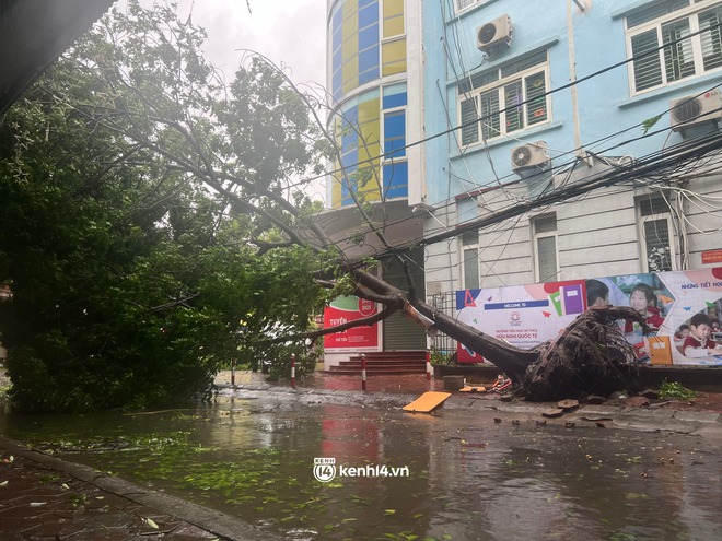 Hải Phòng "oằn mình" chống chịu bão số 3: Gió thổi lật container, bay mái tôn, giật vỡ kính khách sạn- Ảnh 1.