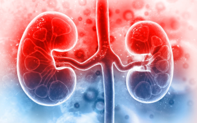 Suy thận có nhiều dấu hiệu để nhận biết (Ảnh minh họa)