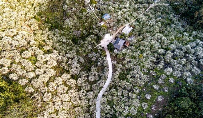 Lịch trình 48 giờ khám phá thung lũng mận trắng Mộc Châu - Ảnh 12.