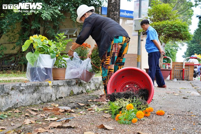 TP.HCM: Xả lỗ không ai mua, tiểu thương bỏ hoa, vứt chậu về quê đón giao thừa - Ảnh 3.