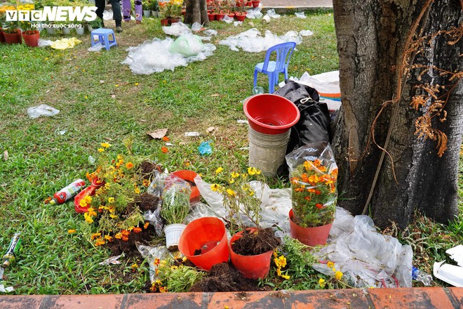 TP.HCM: Xả lỗ không ai mua, tiểu thương bỏ hoa, vứt chậu về quê đón giao thừa - Ảnh 4.