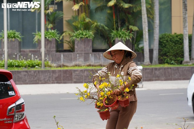 TP.HCM: Xả lỗ không ai mua, tiểu thương bỏ hoa, vứt chậu về quê đón giao thừa - Ảnh 13.