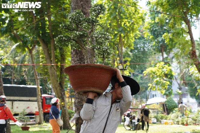 TP.HCM: Xả lỗ không ai mua, tiểu thương bỏ hoa, vứt chậu về quê đón giao thừa - Ảnh 12.