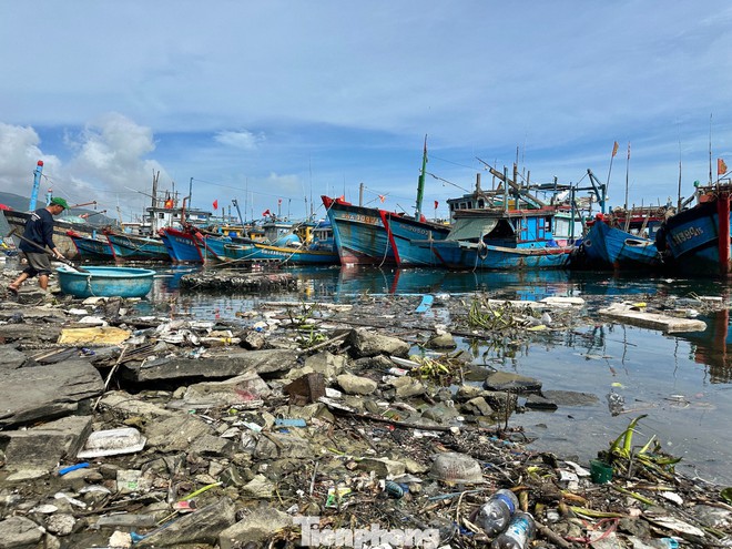 Rác thải ken đặc bãi biển Đà Nẵng sau bão- Ảnh 9.