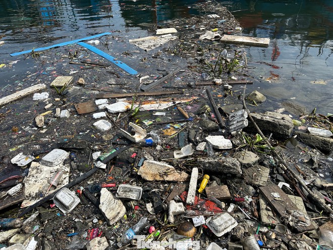 Rác thải ken đặc bãi biển Đà Nẵng sau bão- Ảnh 3.