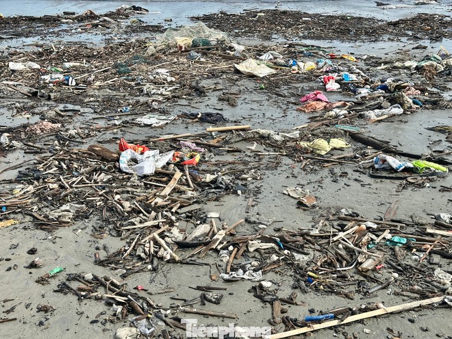 Rác thải ken đặc bãi biển Đà Nẵng sau bão- Ảnh 2.