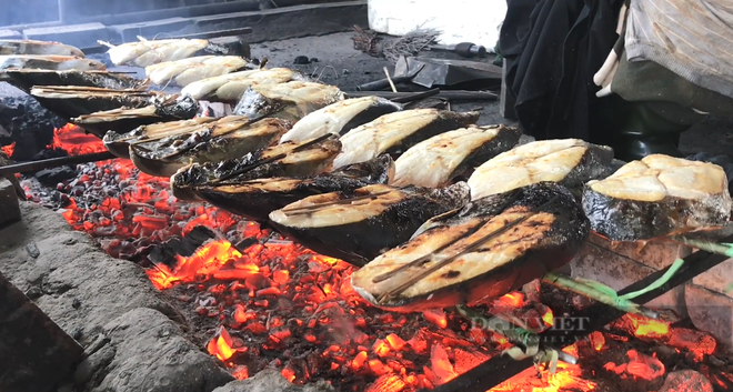 Việt Nam sở hữu loại cá đứng ngôi "vua" về hàm lượng omega-3: Giảm mỡ máu, ngừa ung thư và đột quỵ- Ảnh 3.