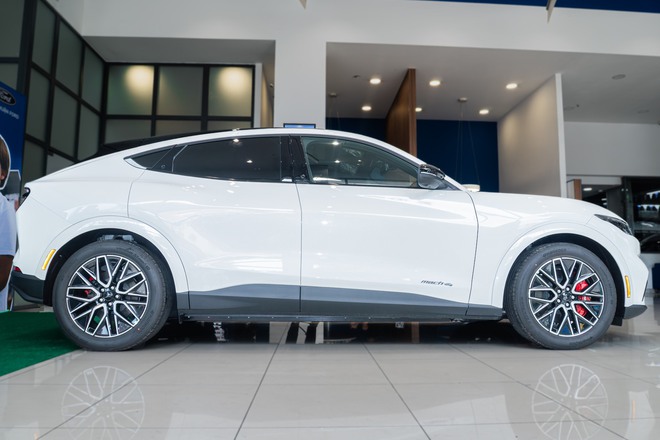 Ford Mustang Mach-E bất ngờ bán chạy hơn cả 'dân chơi' Honda Civic Type R: 'Ngựa hoang điện' đã tìm được chuồng ở Việt Nam?- Ảnh 11.