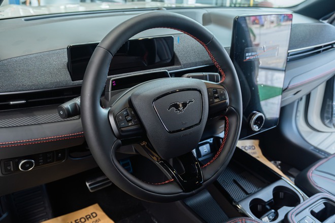 Ford Mustang Mach-E bất ngờ bán chạy hơn cả 'dân chơi' Honda Civic Type R: 'Ngựa hoang điện' đã tìm được chuồng ở Việt Nam?- Ảnh 18.