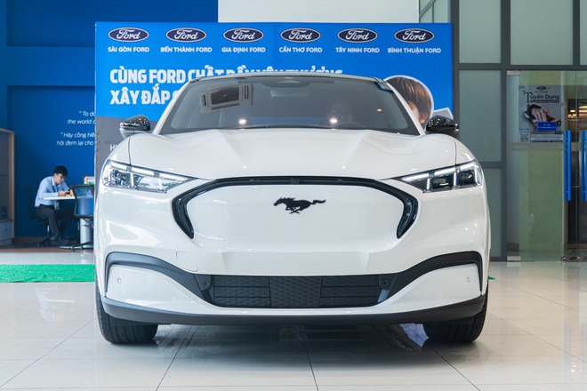 Ford Mustang Mach-E bất ngờ bán chạy hơn cả 'dân chơi' Honda Civic Type R: 'Ngựa hoang điện' đã tìm được chuồng ở Việt Nam?- Ảnh 10.