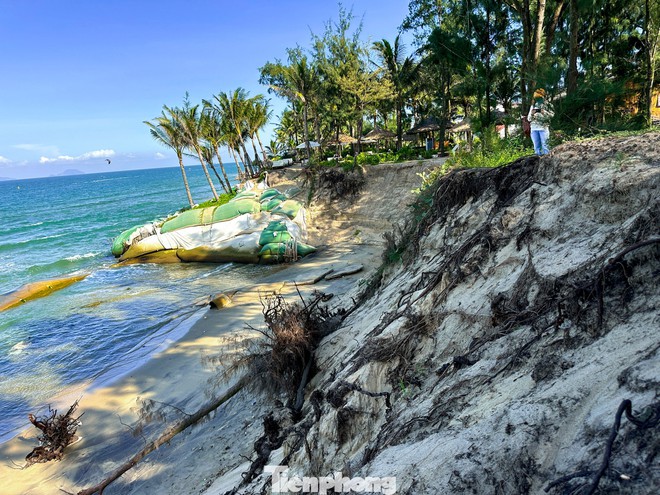 Đà Nẵng: Biển xâm thực, sóng 'ngoạm' bờ uy hiếp từng ngày- Ảnh 2.