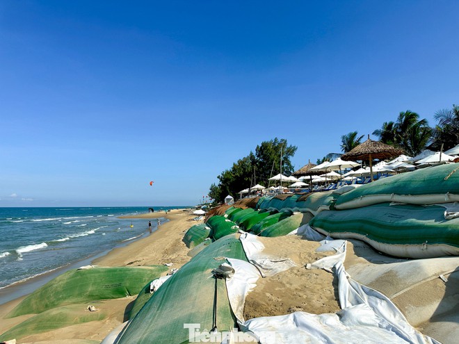 Đà Nẵng: Biển xâm thực, sóng 'ngoạm' bờ uy hiếp từng ngày- Ảnh 6.