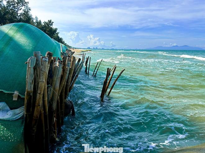 Đà Nẵng: Biển xâm thực, sóng 'ngoạm' bờ uy hiếp từng ngày- Ảnh 12.