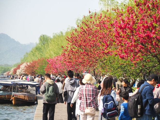 Cảnh tượng tại Tây Hồ ngay lúc này: Nhiều người không tin nổi, nhận xét: "Thật sự không dám tưởng tượng!"- Ảnh 3. Cảnh tượng tại Tây Hồ ngay lúc này: Nhiều người không tin nổi, nhận xét: "Thật sự không dám tưởng tượng!"- Ảnh 3.