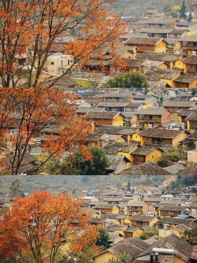 Việt Nam có thêm làng được vinh danh "tốt nhất thế giới": Cách Hà Nội gần 500km, báo chí ví "như cổ tích"- Ảnh 5. Việt Nam có thêm làng được vinh danh "tốt nhất thế giới": Cách Hà Nội gần 500km, báo chí ví "như cổ tích"- Ảnh 5.