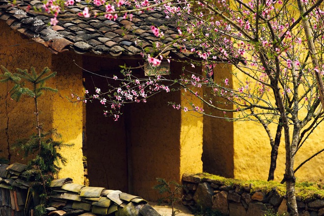 Việt Nam có thêm làng được vinh danh "tốt nhất thế giới": Cách Hà Nội gần 500km, báo chí ví "như cổ tích"- Ảnh 8. Việt Nam có thêm làng được vinh danh "tốt nhất thế giới": Cách Hà Nội gần 500km, báo chí ví "như cổ tích"- Ảnh 8.