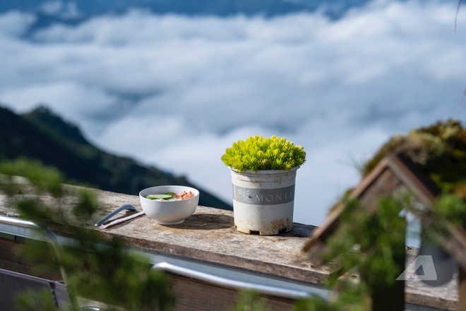 Chán phượt ô tô, 9X Hà Nội đem xe máy điện vượt hơn 220km lên Tà Xùa: 'Đi được nhưng không có lần 2, phải xác định trước vài điều'- Ảnh 20. Chán phượt ô tô, 9X Hà Nội đem xe máy điện vượt hơn 220km lên Tà Xùa: 'Đi được nhưng không có lần 2, phải xác định trước vài điều'- Ảnh 20.