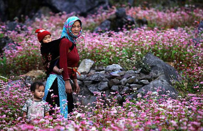 du-lich-ha-giang-8-11-2017-550x355-1761318901442636697849.jpg