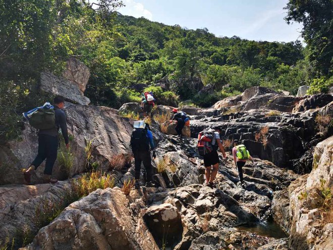 Việt Nam có rừng thuộc dạng quý hiếm ở Đông Nam Á, cả nước chỉ có 1, ngay gần Nha Trang, Phan Thiết- Ảnh 7. Việt Nam có rừng thuộc dạng quý hiếm ở Đông Nam Á, cả nước chỉ có 1, ngay gần Nha Trang, Phan Thiết- Ảnh 7.