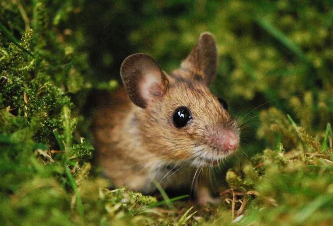 Avatar1762920172819 17629201771741616857986