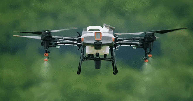 Ảnh minh họa (Agridrone)
