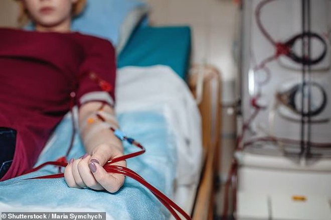 avatar1762933677459 17629336787831474239157