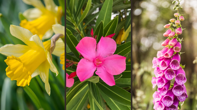 Avatar1763802206703 1763802207269713101642