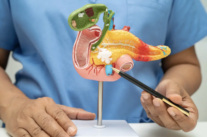 Avatar1763805944534 1763805944917445543696