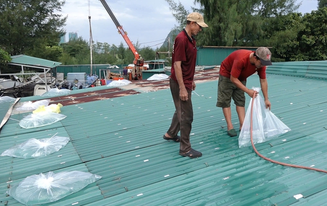 Người dân các tỉnh từ Đà Nẵng đến Lâm Đồng cần đặc biệt lưu ý, làm những việc này trước 28/11- Ảnh 2. Người dân các tỉnh từ Đà Nẵng đến Lâm Đồng cần đặc biệt lưu ý, làm những việc này trước 28/11- Ảnh 2.