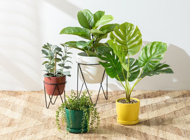 Avatar1764317872098 17643178733841269232432