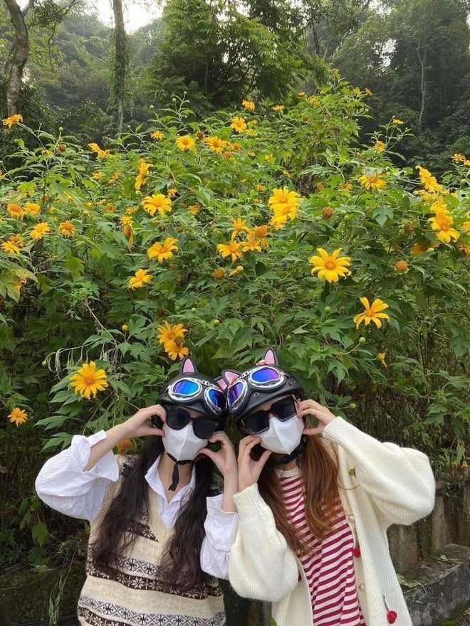 Cảnh tượng ngay lúc này ở Ba Vì, Hà Nội: Du khách trầm trồ nhận xét  Cảnh tượng ngay lúc này ở Ba Vì, Hà Nội: Du khách trầm trồ nhận xét