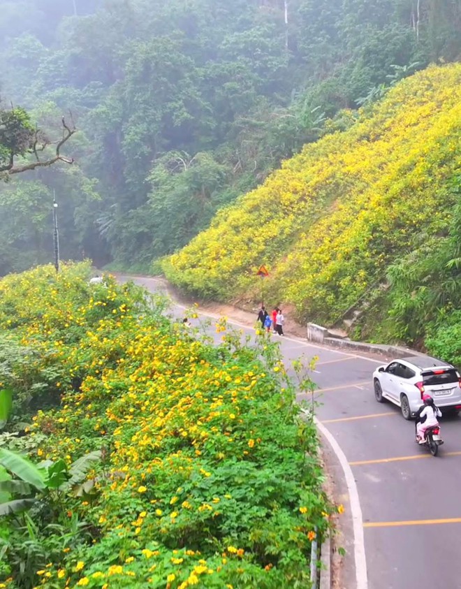 Cảnh tượng ngay lúc này ở Ba Vì, Hà Nội: Du khách trầm trồ nhận xét  Cảnh tượng ngay lúc này ở Ba Vì, Hà Nội: Du khách trầm trồ nhận xét