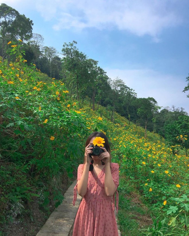 Cảnh tượng ngay lúc này ở Ba Vì, Hà Nội: Du khách trầm trồ nhận xét  Cảnh tượng ngay lúc này ở Ba Vì, Hà Nội: Du khách trầm trồ nhận xét