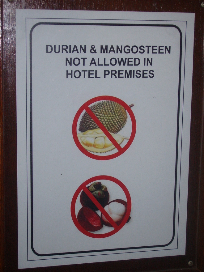 Vào khách sạn, du khách bất ngờ với quy định được dán trong phòng: Vì sao lại cấm loại quả này?- Ảnh 3. Vào khách sạn, du khách bất ngờ với quy định được dán trong phòng: Vì sao lại cấm loại quả này?- Ảnh 3.