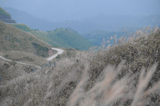 Ngoài biển, Quảng Ninh còn có 1 vùng núi nhiều người chưa biết: Đang vào mùa đẹp nhất, cảnh như phim- Ảnh 8. Ngoài biển, Quảng Ninh còn có 1 vùng núi nhiều người chưa biết: Đang vào mùa đẹp nhất, cảnh như phim- Ảnh 8.
