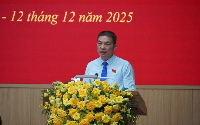 Ông Nguyễn Viết Hải, Chủ tịch Tập đoàn Sơn Hải nêu kiến nghị tại phiên thảo luận kỳ họp thứ 5 HĐND tỉnh Quảng Trị khóa VIII. Ảnh: NLĐ