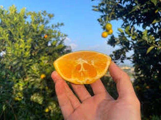 Điểm miền núi phía Bắc nhiều người đang rủ nhau đi: Càng cuối năm càng đông, có đặc sản "hiếm" ở Việt Nam - Ảnh 10.