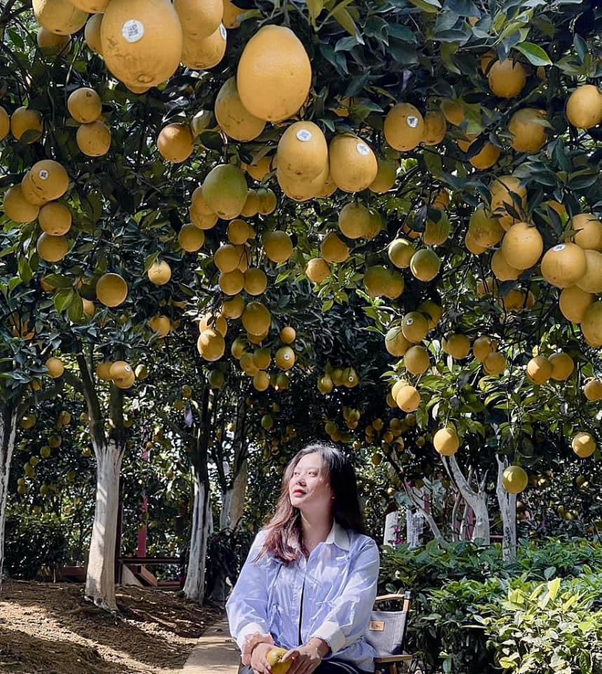 Điểm miền núi phía Bắc nhiều người đang rủ nhau đi: Càng cuối năm càng đông, có đặc sản "hiếm" ở Việt Nam - Ảnh 9.