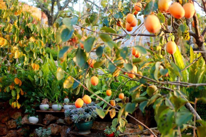 Điểm miền núi phía Bắc nhiều người đang rủ nhau đi: Càng cuối năm càng đông, có đặc sản "hiếm" ở Việt Nam - Ảnh 6.