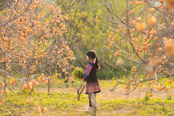 Điểm miền núi phía Bắc nhiều người đang rủ nhau đi: Càng cuối năm càng đông, có đặc sản "hiếm" ở Việt Nam - Ảnh 3.