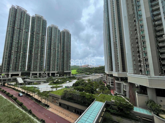 Bức ảnh chụp chung cư ở Hong Kong lúc này được nhiều người quan tâm - Ảnh 6.