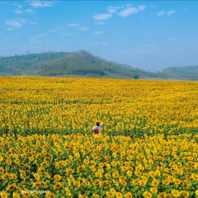 Nơi được quan tâm nhất lúc này ở Nghệ An: Cảnh như nước ngoài, mở cửa miễn phí nhưng có lưu ý đặc biệt - Ảnh 15.