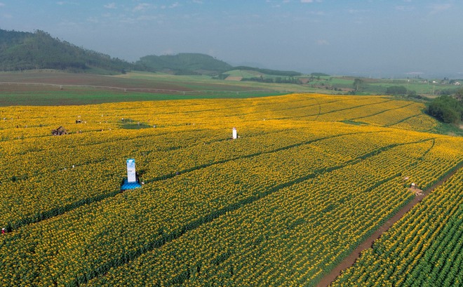 Nơi được quan tâm nhất lúc này ở Nghệ An: Cảnh như nước ngoài, mở cửa miễn phí nhưng có lưu ý đặc biệt - Ảnh 6.