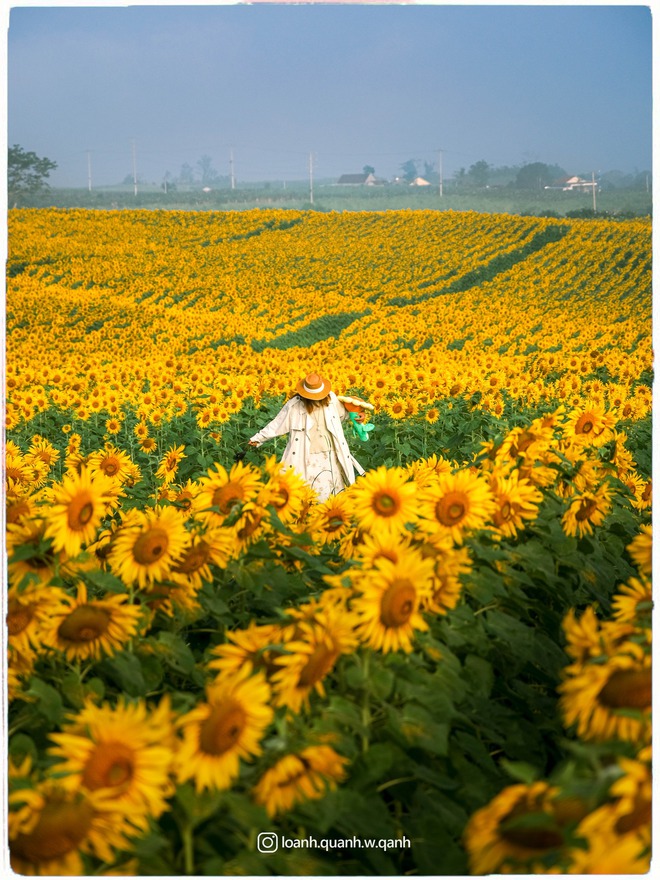 Nơi được quan tâm nhất lúc này ở Nghệ An: Cảnh như nước ngoài, mở cửa miễn phí nhưng có lưu ý đặc biệt - Ảnh 14.