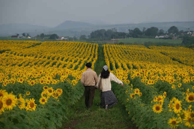 Nơi được quan tâm nhất lúc này ở Nghệ An: Cảnh như nước ngoài, mở cửa miễn phí nhưng có lưu ý đặc biệt - Ảnh 12.