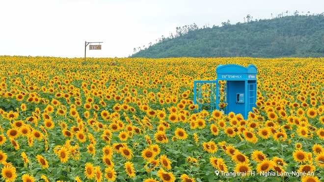 Nơi được quan tâm nhất lúc này ở Nghệ An: Cảnh như nước ngoài, mở cửa miễn phí nhưng có lưu ý đặc biệt - Ảnh 3.