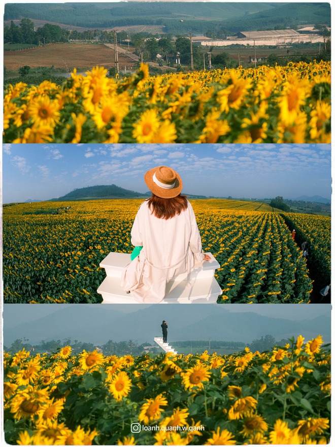 Nơi được quan tâm nhất lúc này ở Nghệ An: Cảnh như nước ngoài, mở cửa miễn phí nhưng có lưu ý đặc biệt - Ảnh 11.